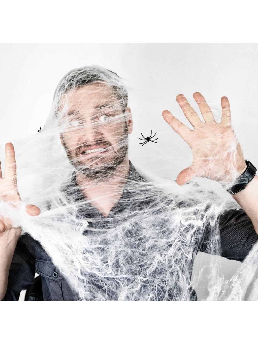 Pajęczyna z pająkiem