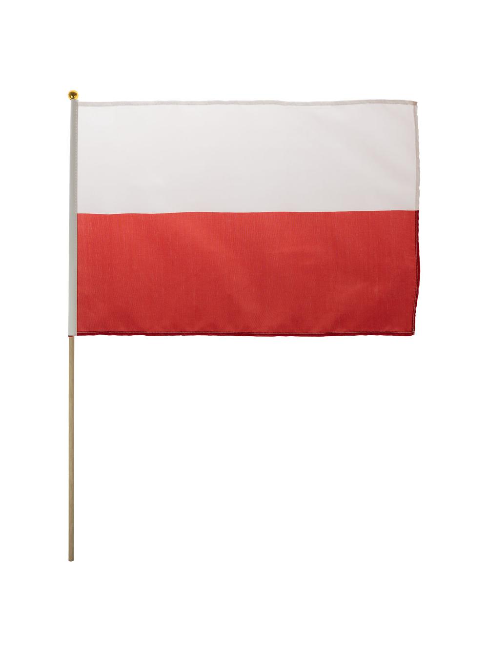 Flaga narodowa mała