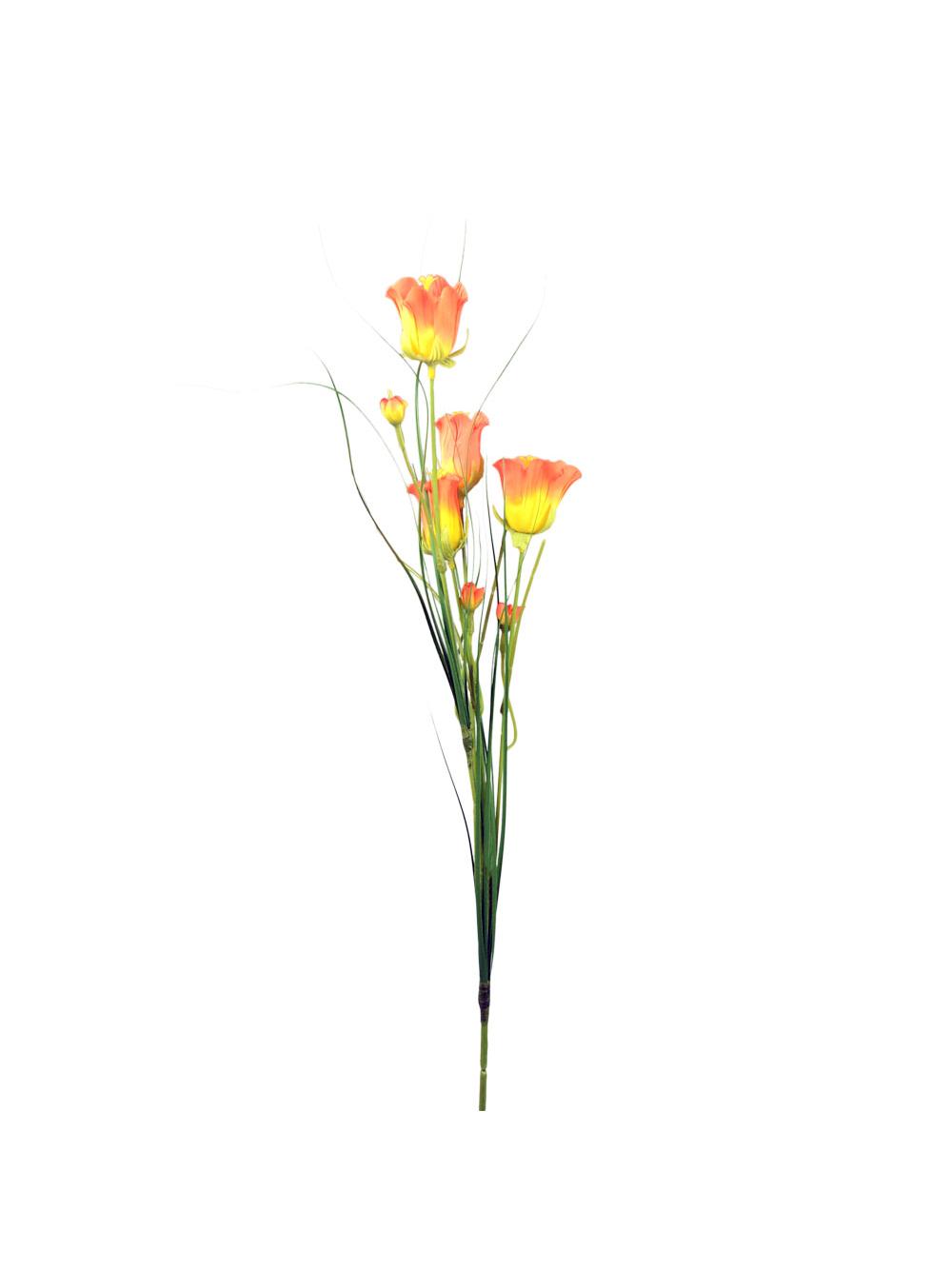 Dzwonki trawka PROMOCJA