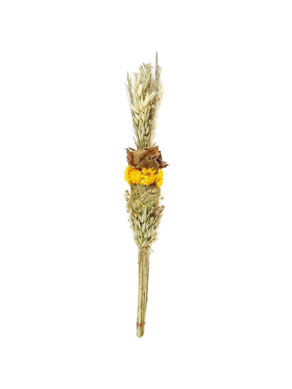 Palma naturalna LUX (40 cm)