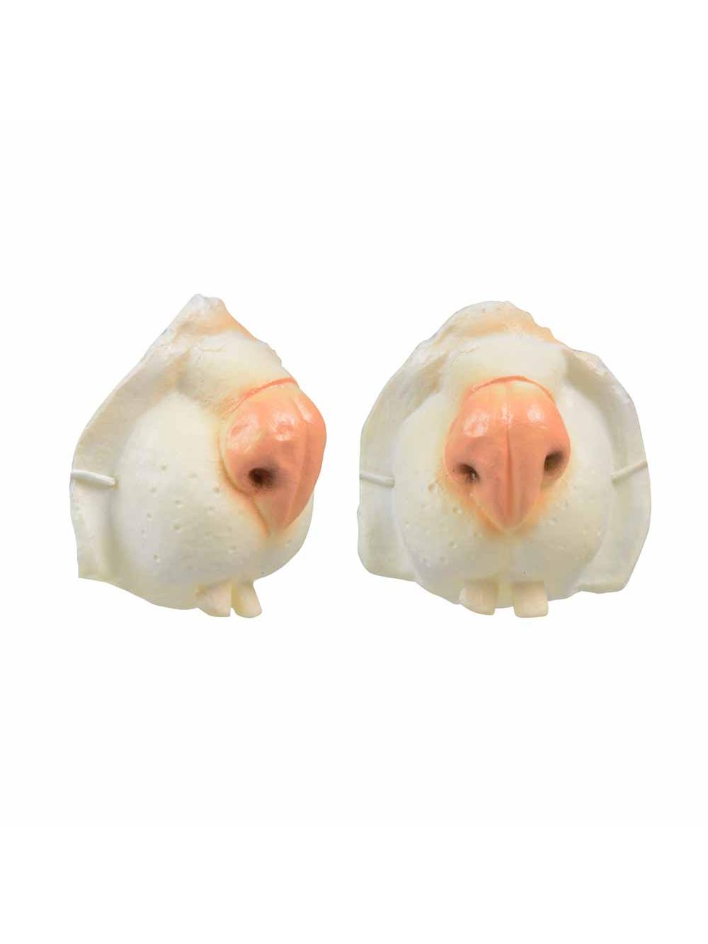 Nos gumowy mix wzorów