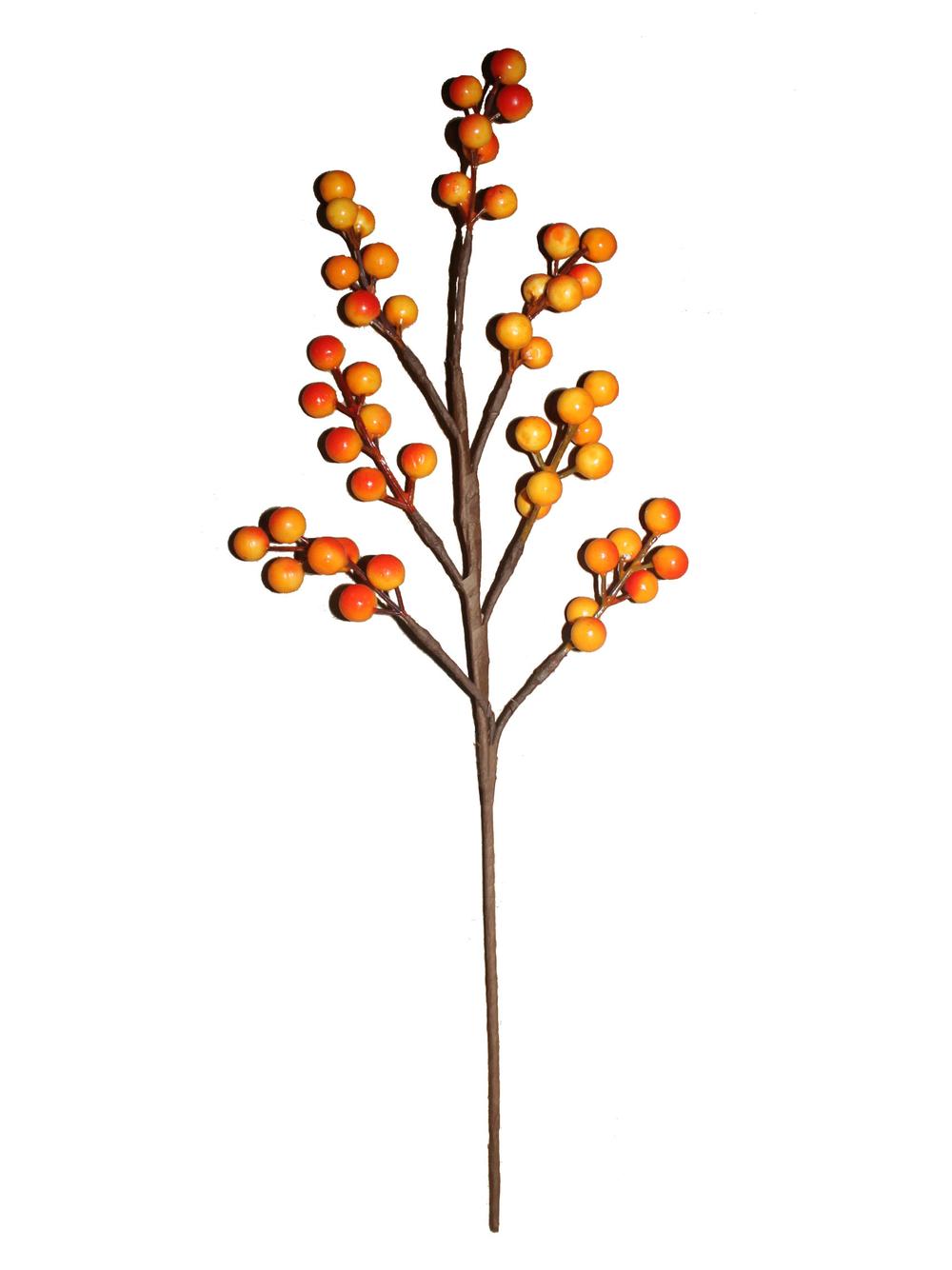 Gałązka jesiennych jagód