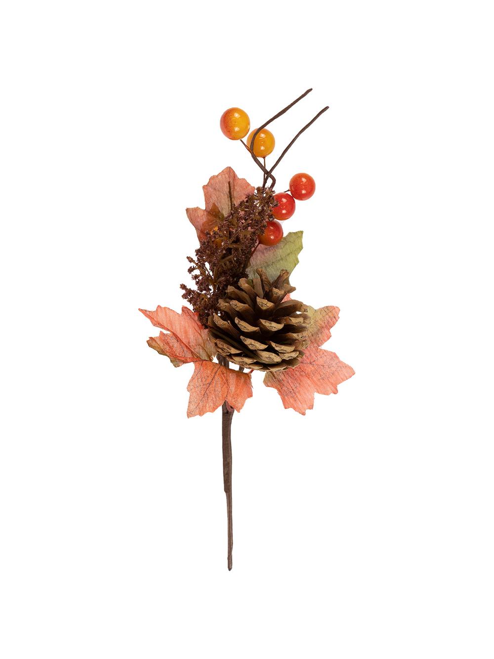Gałązka jesienna z szyszką