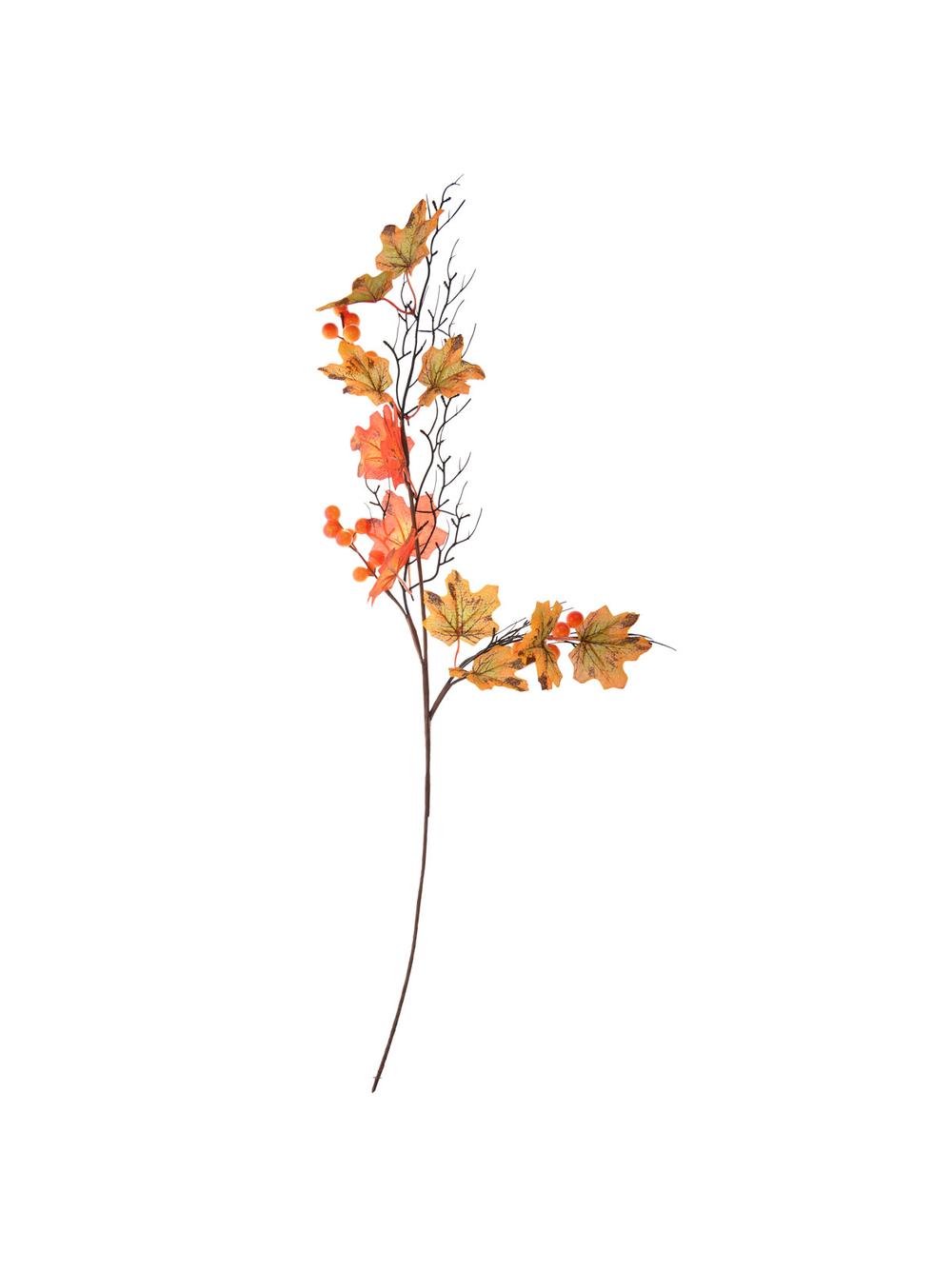 Gałązka jesienna z jarzębiną