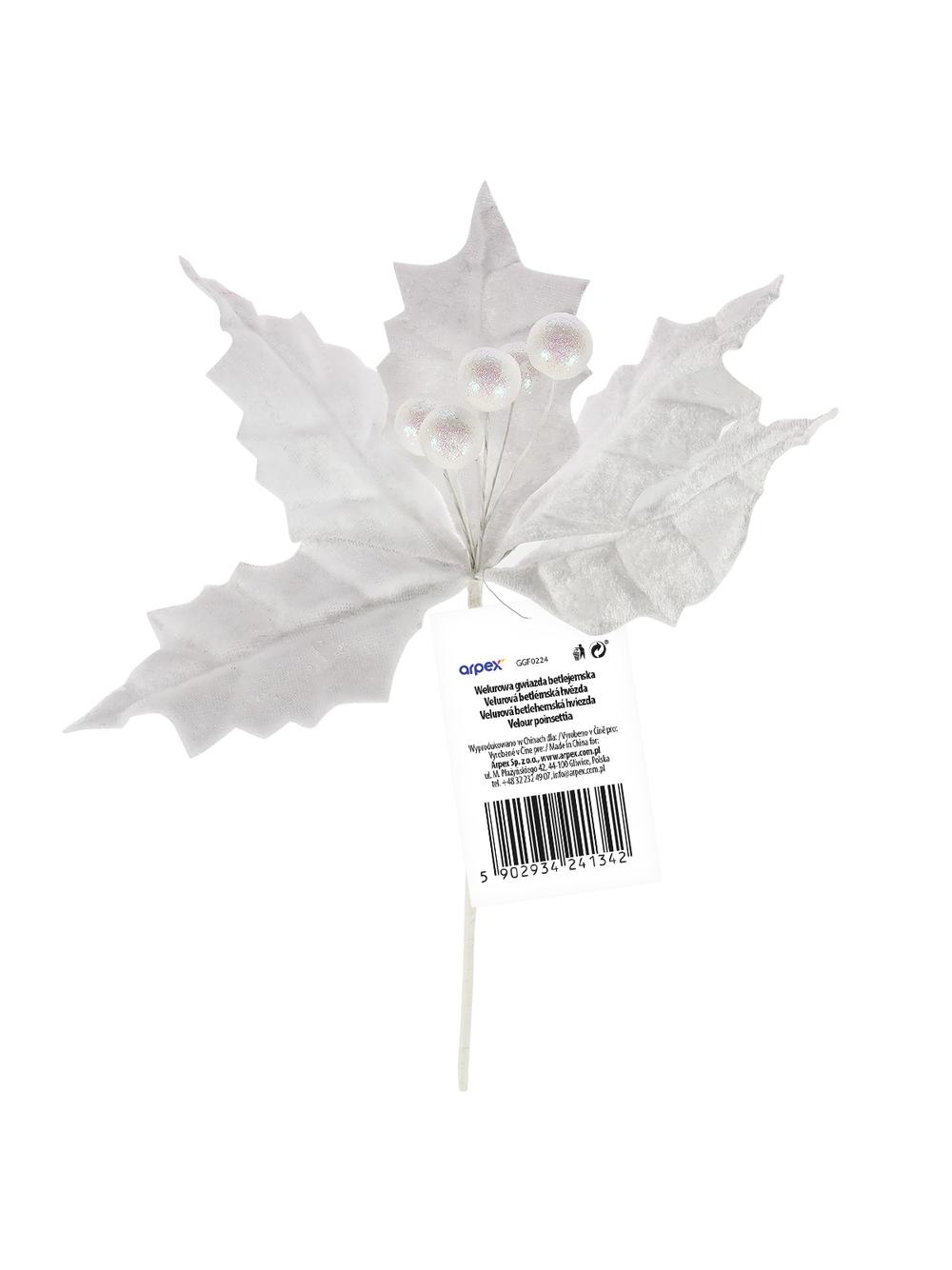 Welurowa gwiazda betlejemska - biała