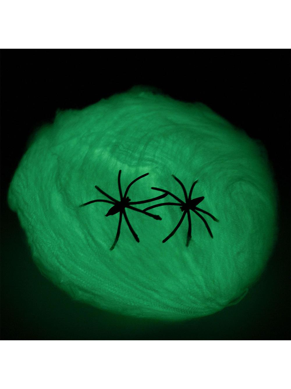 Świecąca w ciemności pajęczyna z pająkiem