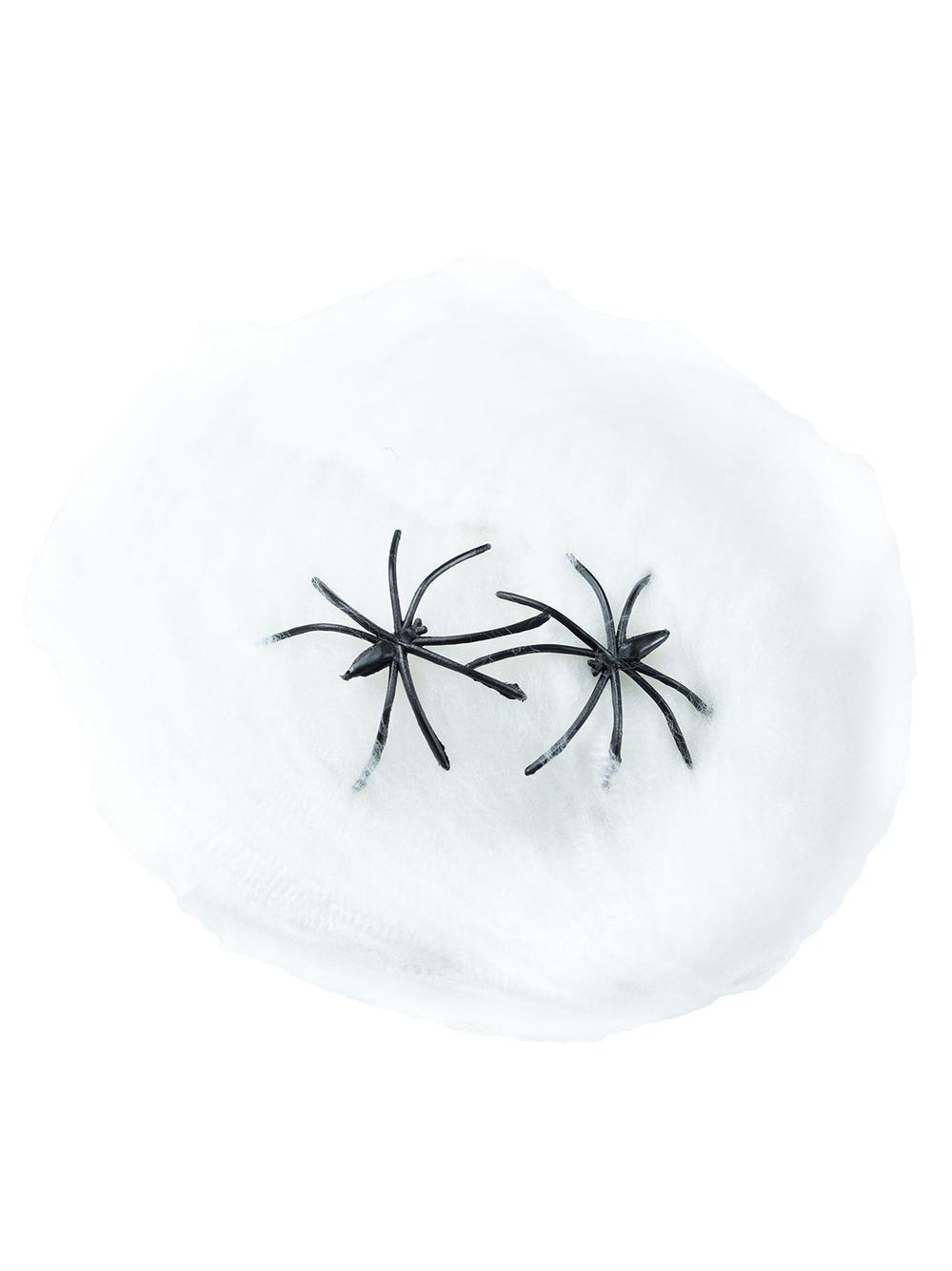 Świecąca w ciemności pajęczyna z pająkiem