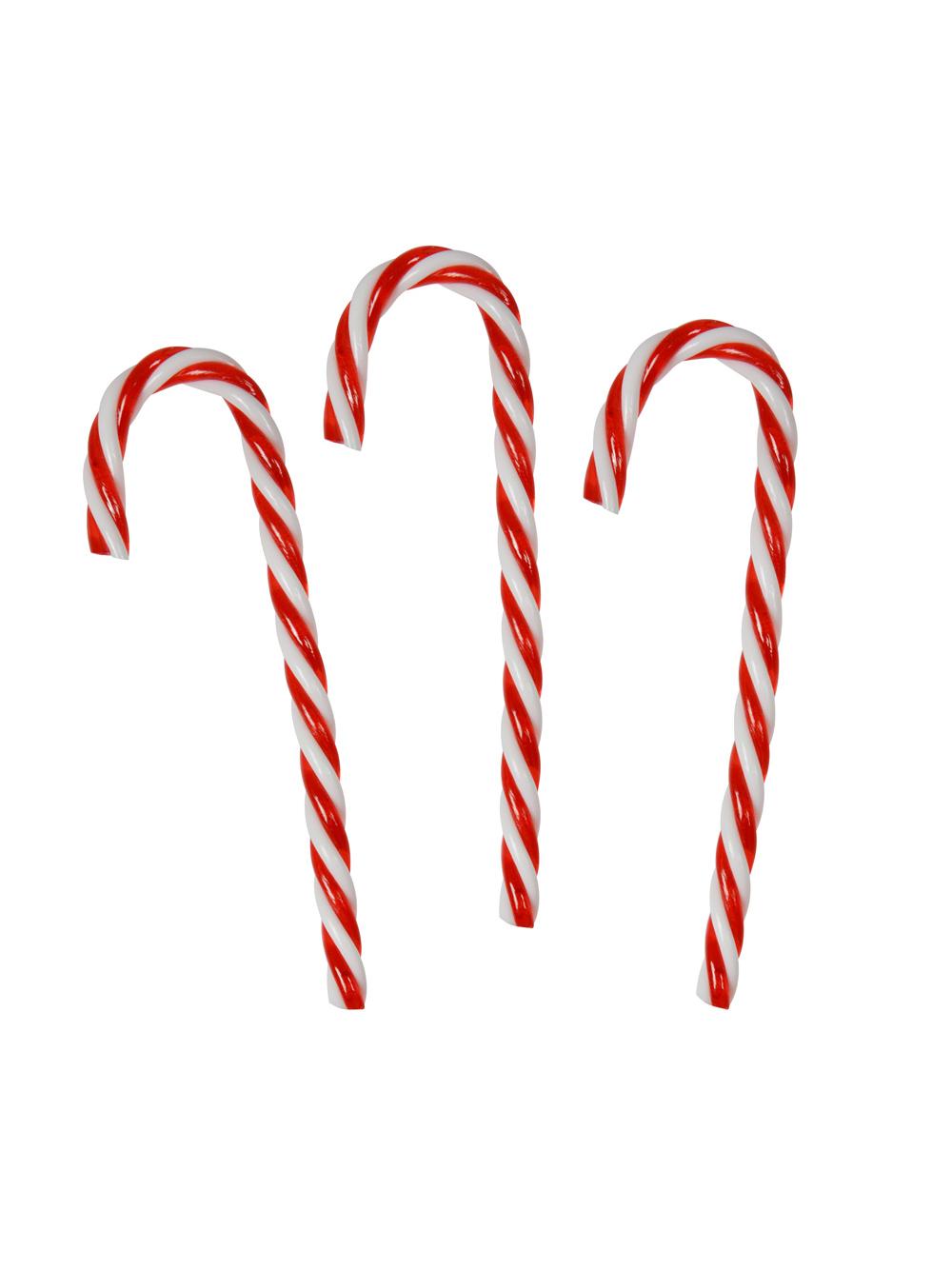 Laska choinkowa (3 szt.)