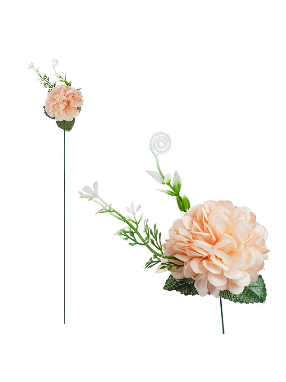 Chryzantema z liściem