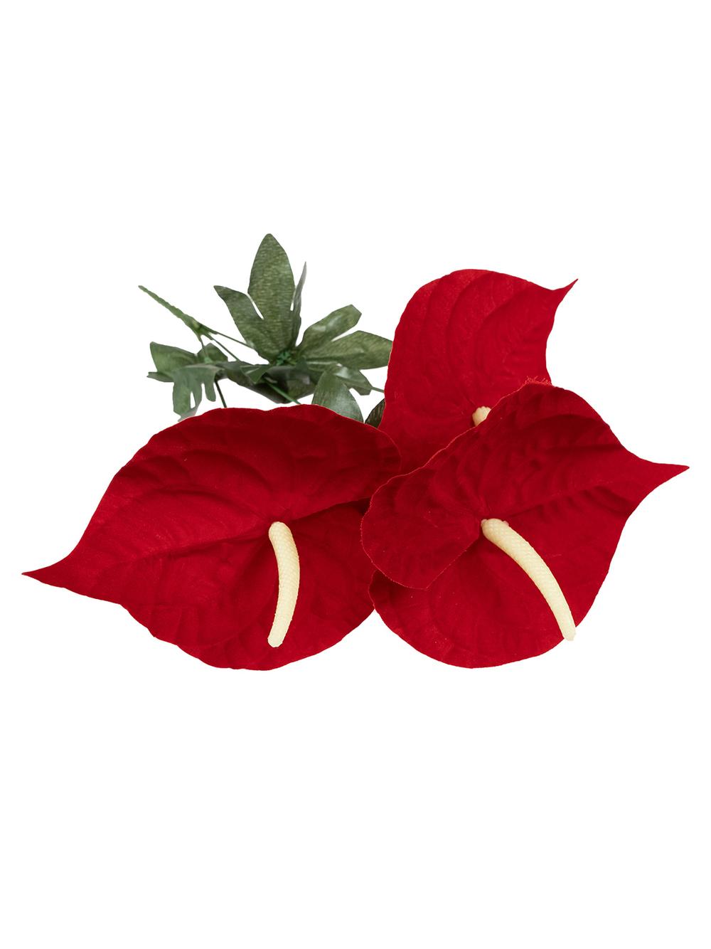 Bukiet anturium 3 kwiaty