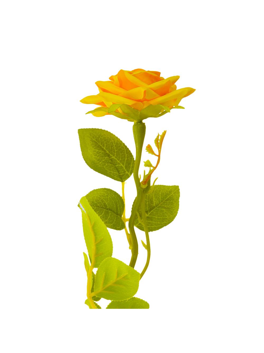 Róża z kolcami LUX