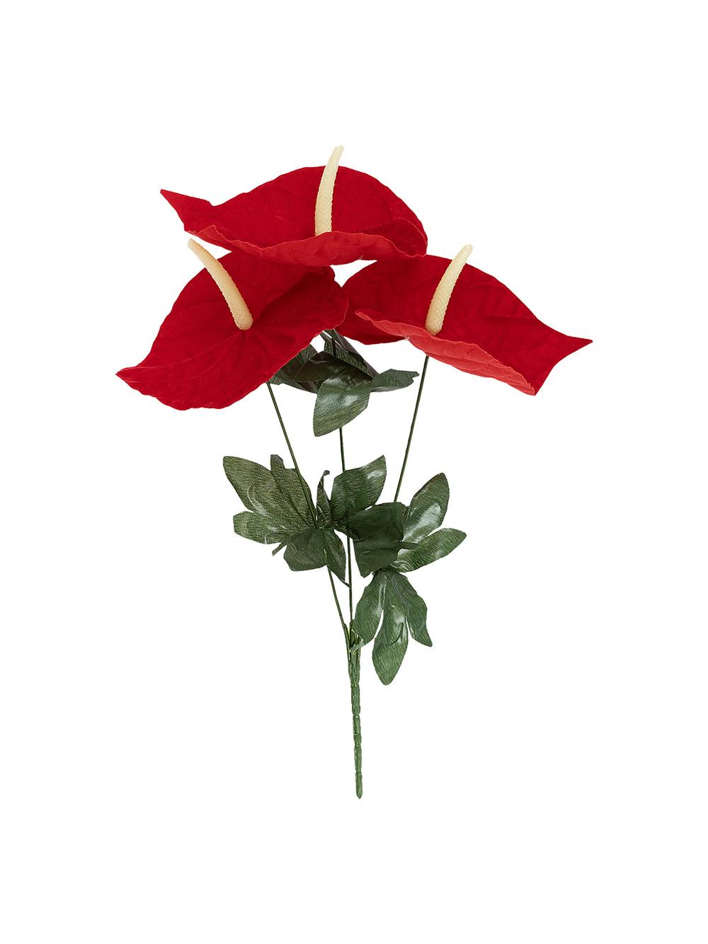 Bukiet anturium 3 kwiaty