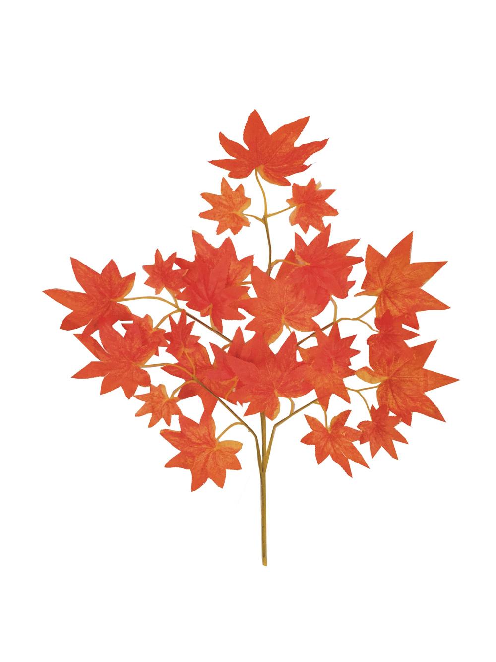 Gałązka jesienna D