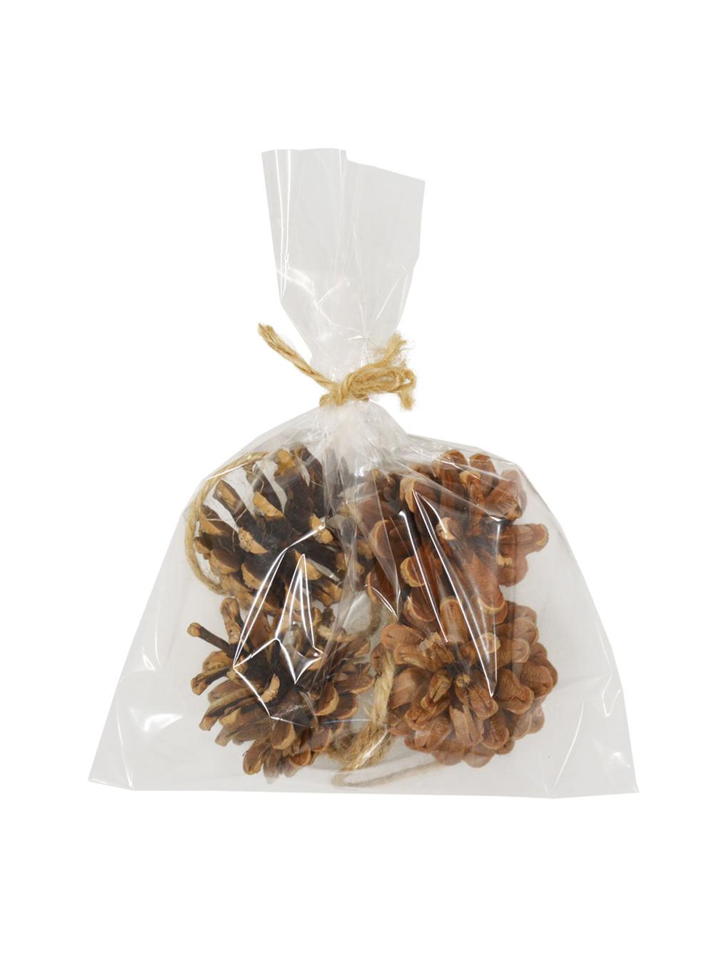 Szyszki naturalne (4 szt.)