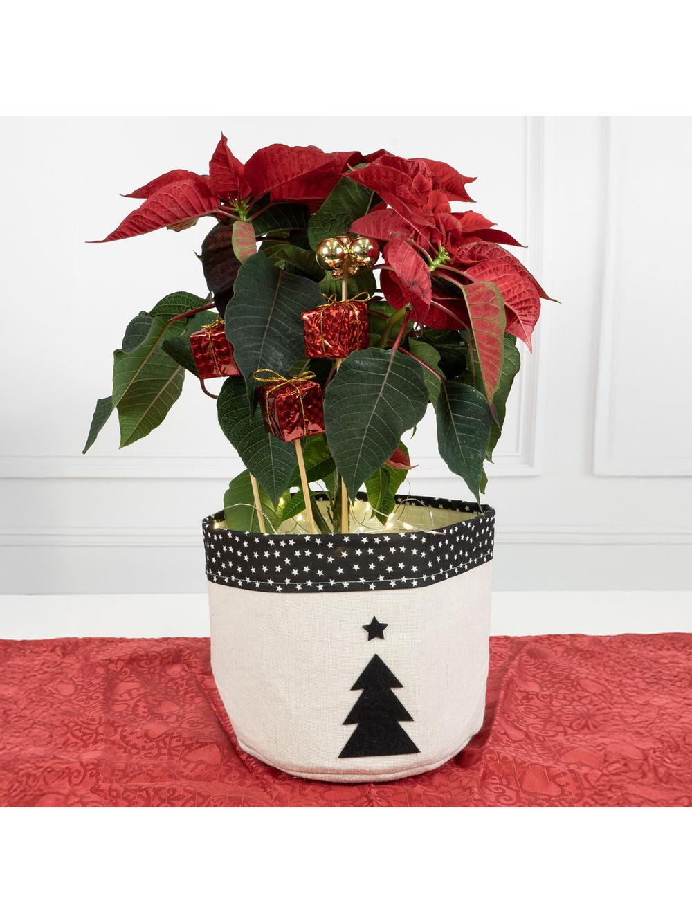 Prezenciki na piku (3 szt.)