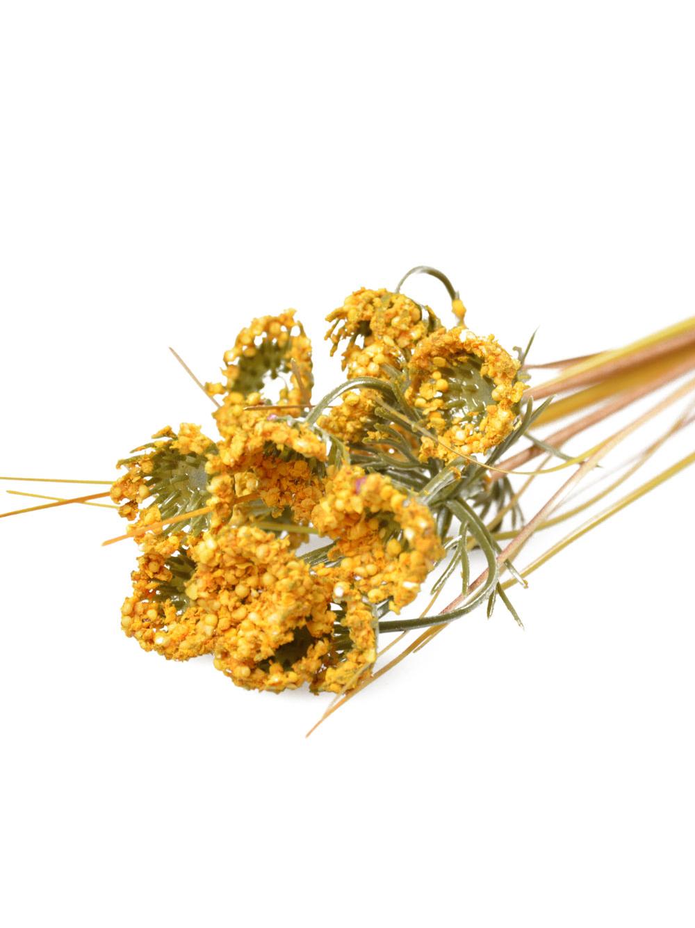 Wysokie trawy ozdobne B