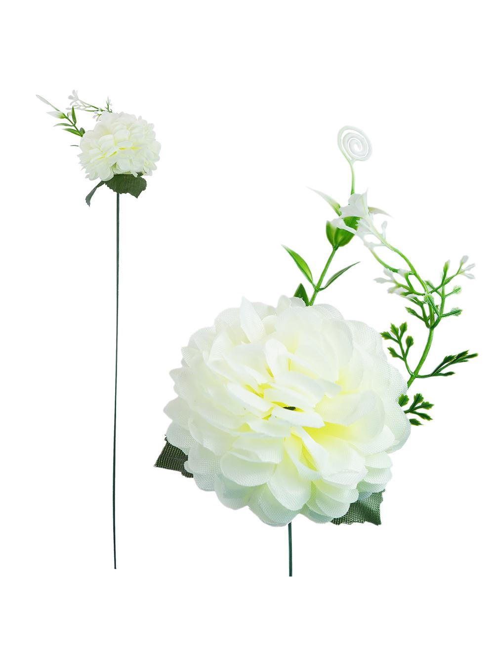 Chryzantema z liściem