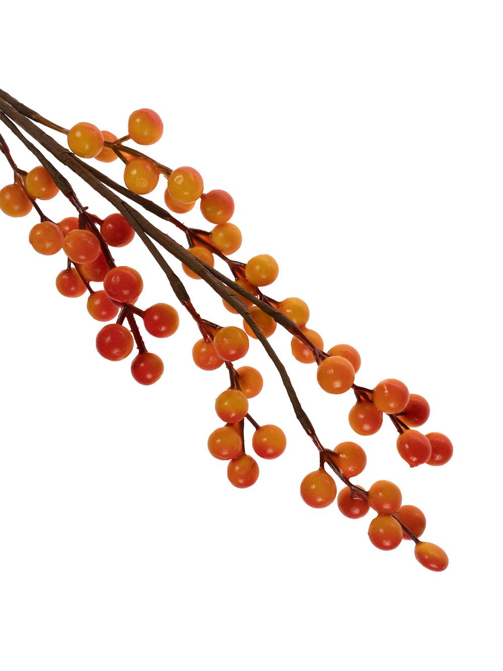 Gałązka jesiennych jagód