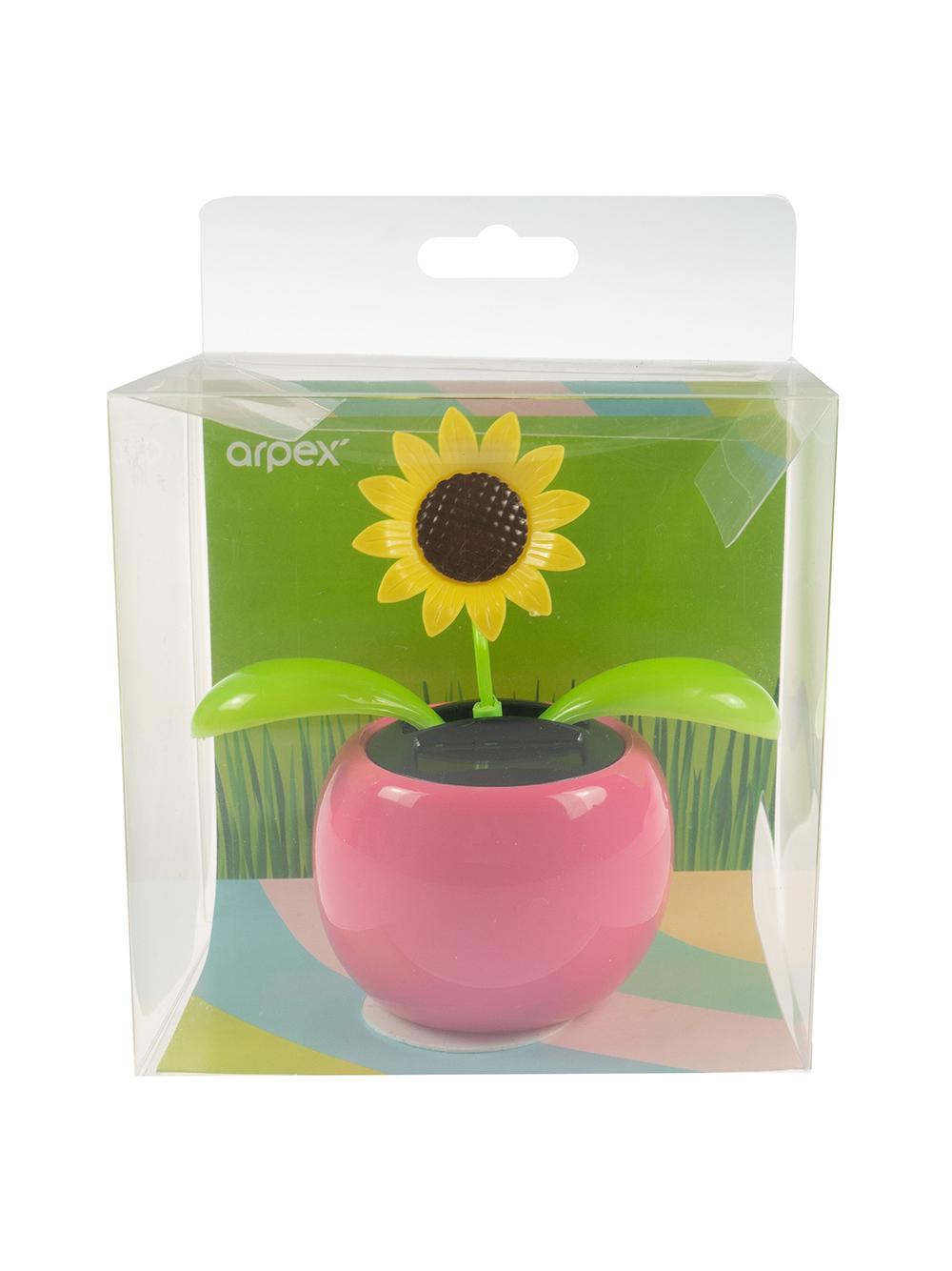 Kwiatek solarny - kiwaczek