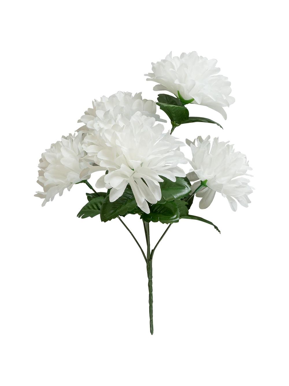 Chryzantema w bukiecie x5