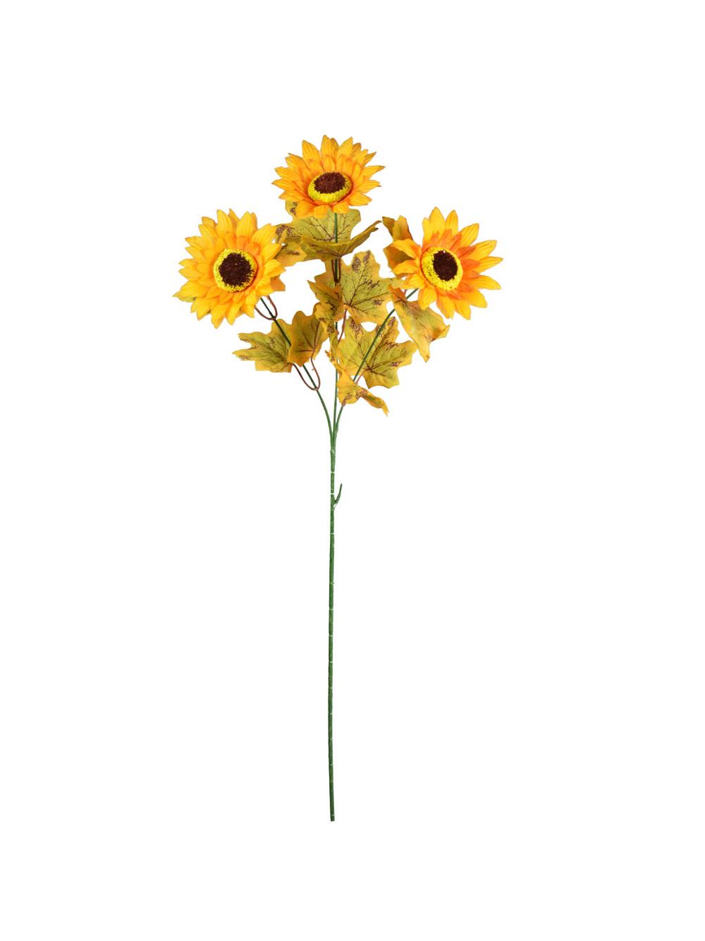 Jesienne słoneczniki