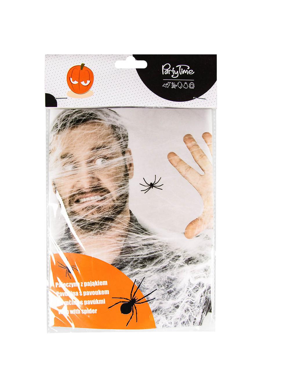 Pajęczyna z pająkiem