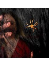 Czarna pajęczyna z pająkiem