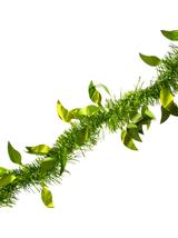 Łańcuch dekoracyjny matowy - listki miętowy