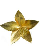 Brokatowa gwiazda betlejemska