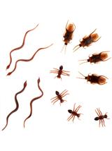 Robaki - rekwizyt halloweenowy (6 szt.)