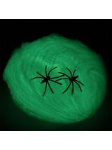 Świecąca w ciemności pajęczyna z pająkiem