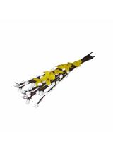 Bazie małe bez listków 24 cm