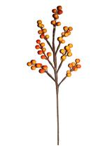 Gałązka jesiennych jagód