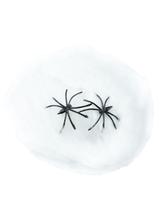 Świecąca w ciemności pajęczyna z pająkiem