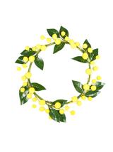 Wieniec wiosenny z kuleczkami PROMOCJA