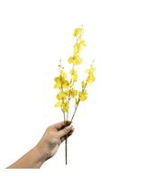 Gałązka storczyk mini