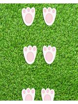 Ślady króliczka (20 szt.)