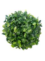 Dekoracyjna kula bukszpanu