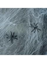 Pajęczyna z pająkiem