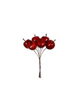 Stroik rajskie jabłuszka czerwony