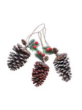 Świąteczna szyszka dekoracyjna