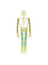 Giętki szkielet - świecący w ciemności