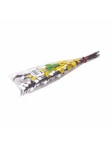 Bazie małe bez listków 24 cm