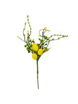 Gałązka dekoracyjna z jajeczkami