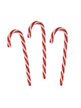 Laska choinkowa (3 szt.)