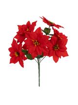 Bukiet poinsecji (7 kwiatów)