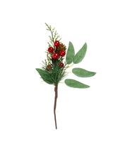 Zimowa gałązka mix