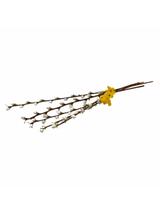 Bazie duże z listkami 50 cm