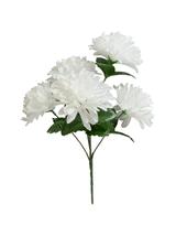 Chryzantema w bukiecie x5