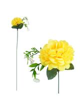 Chryzantema z liściem